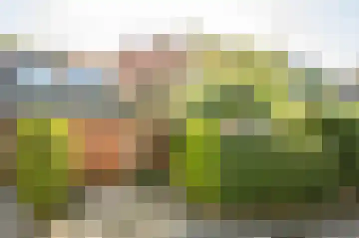 Archipel 45 45 67 Lelystad thumbnail 4