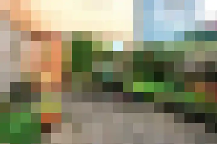 Archipel 45 45 67 Lelystad thumbnail 5