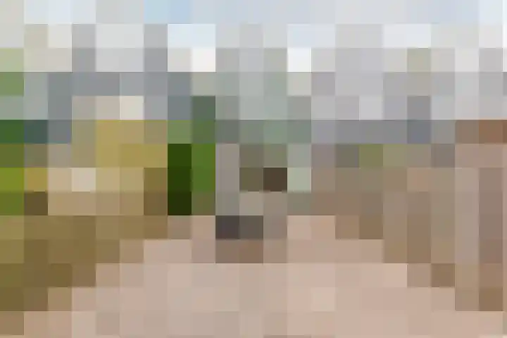 Archipel 45 45 Lelystad thumbnail 31