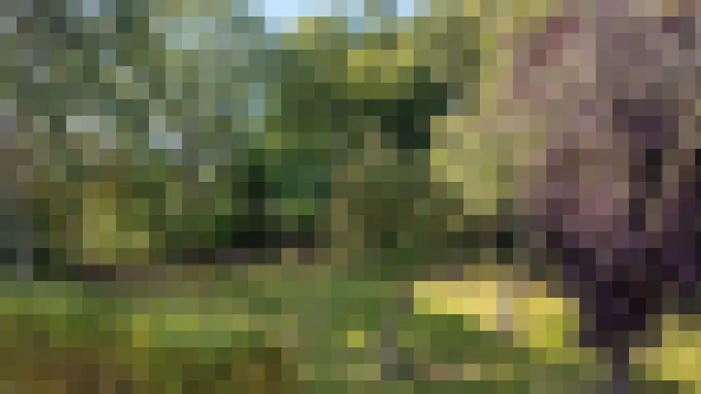 Archipel 45 45 Lelystad thumbnail 35