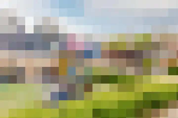 Archipel 45 45 Lelystad thumbnail 35