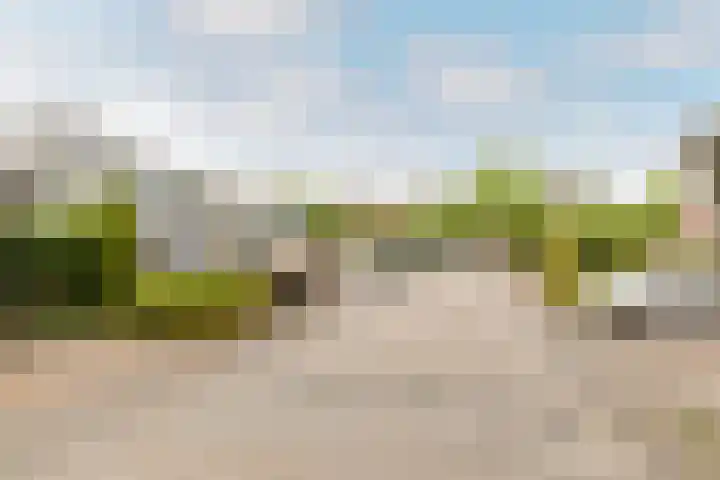 Archipel 45 45 Lelystad thumbnail 37