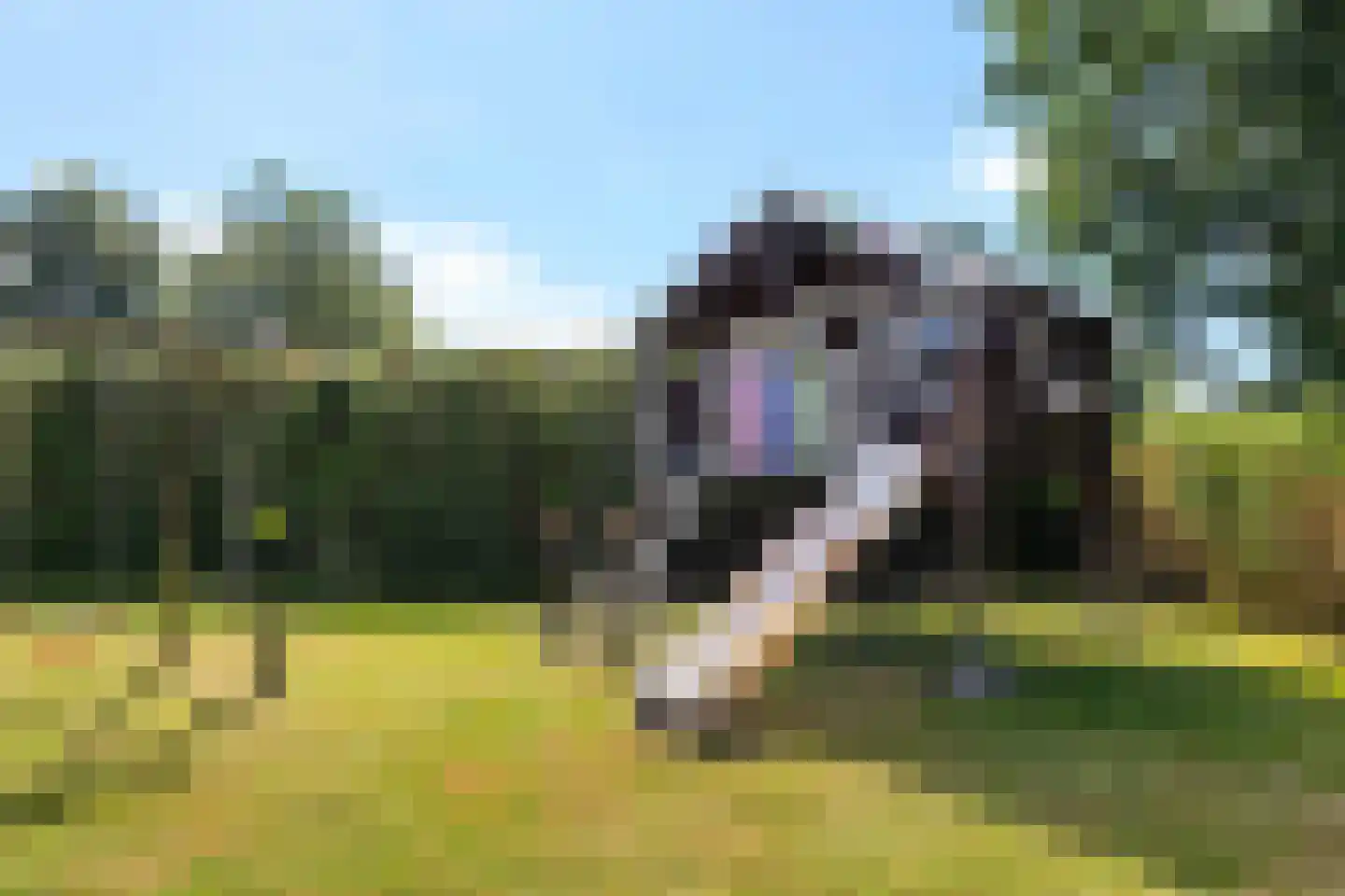 Archipel 45 45 Lelystad thumbnail 40