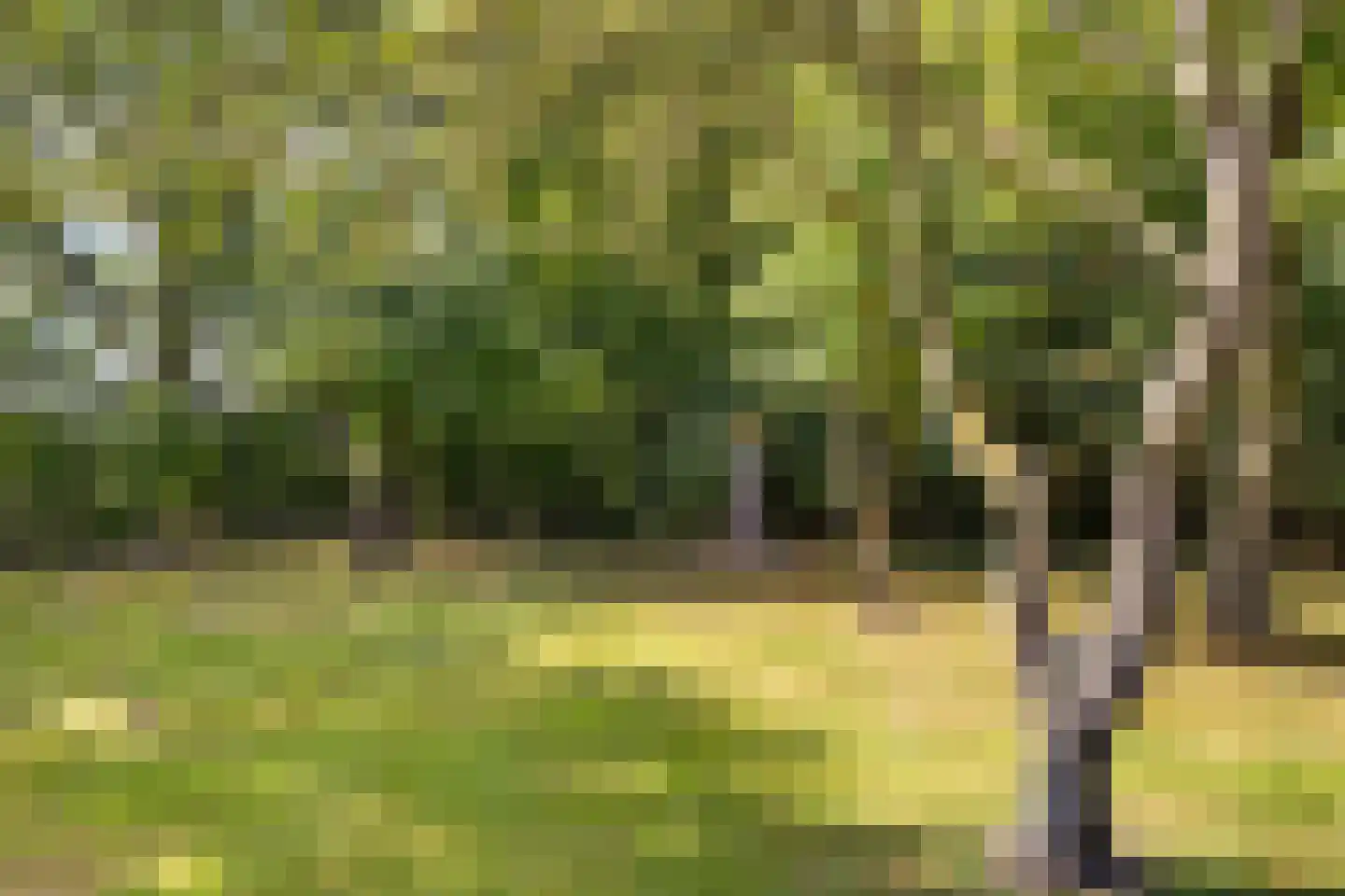 Archipel 45 45 Lelystad thumbnail 43