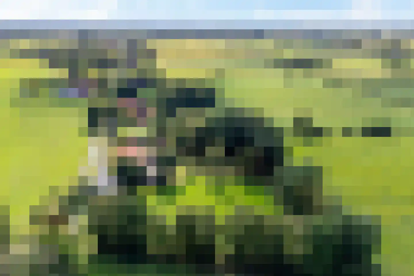Archipel 45 45 Lelystad thumbnail 49