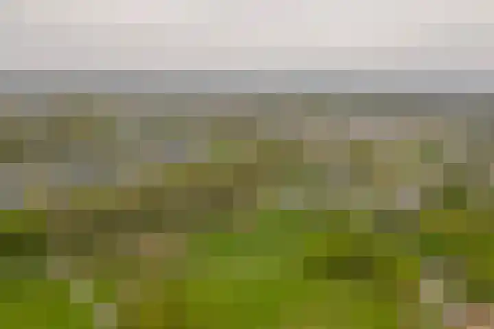 Archipel 45 45 Lelystad thumbnail 5