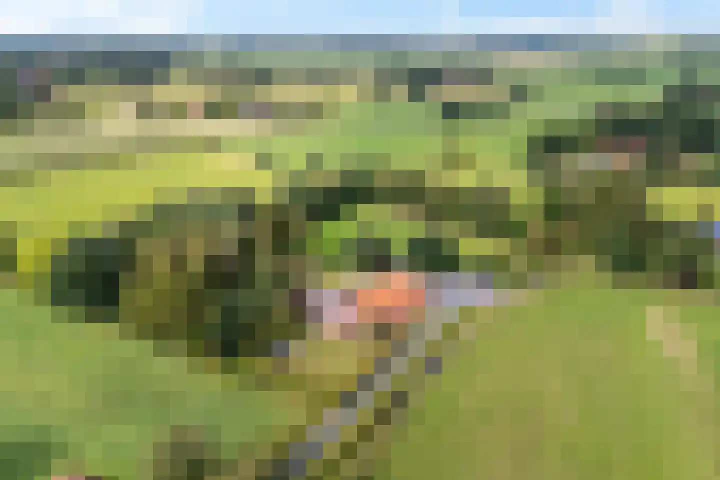 Archipel 45 45 Lelystad thumbnail 53