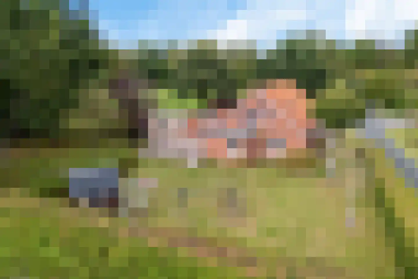 Archipel 45 45 Lelystad thumbnail 54
