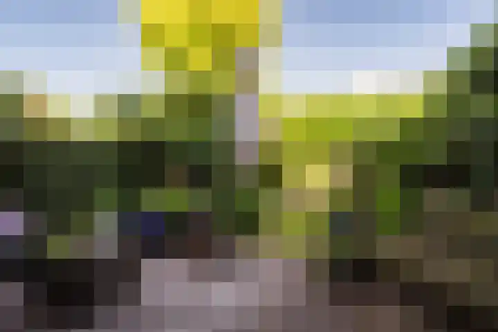 Archipel 45 49 Lelystad thumbnail 4