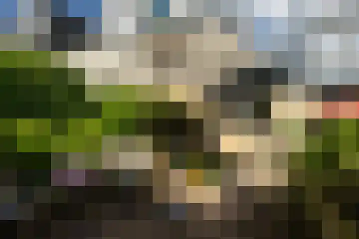 Archipel 45 49 Lelystad thumbnail 6