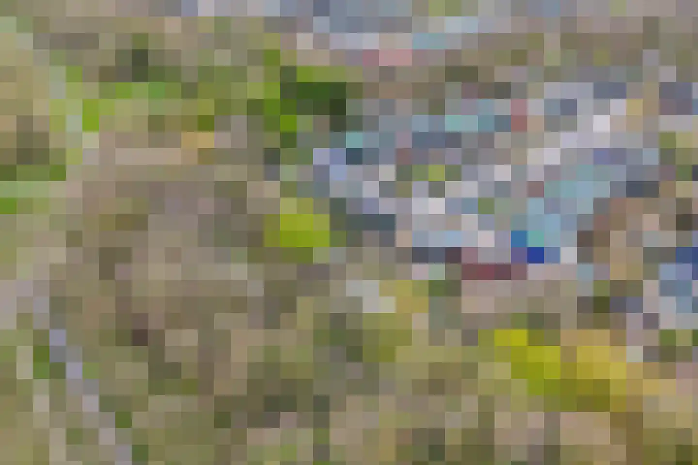 Archipel 45 69 Lelystad thumbnail 46