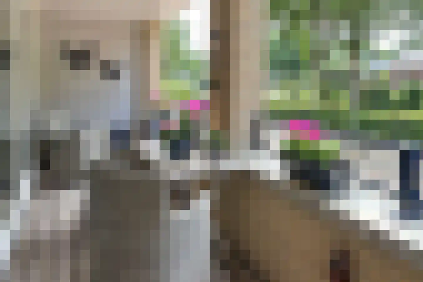 Archipelplein 58 Huizen thumbnail 7