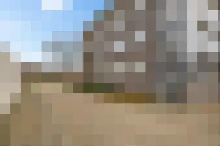 Archipelplein 71 Huizen thumbnail 34
