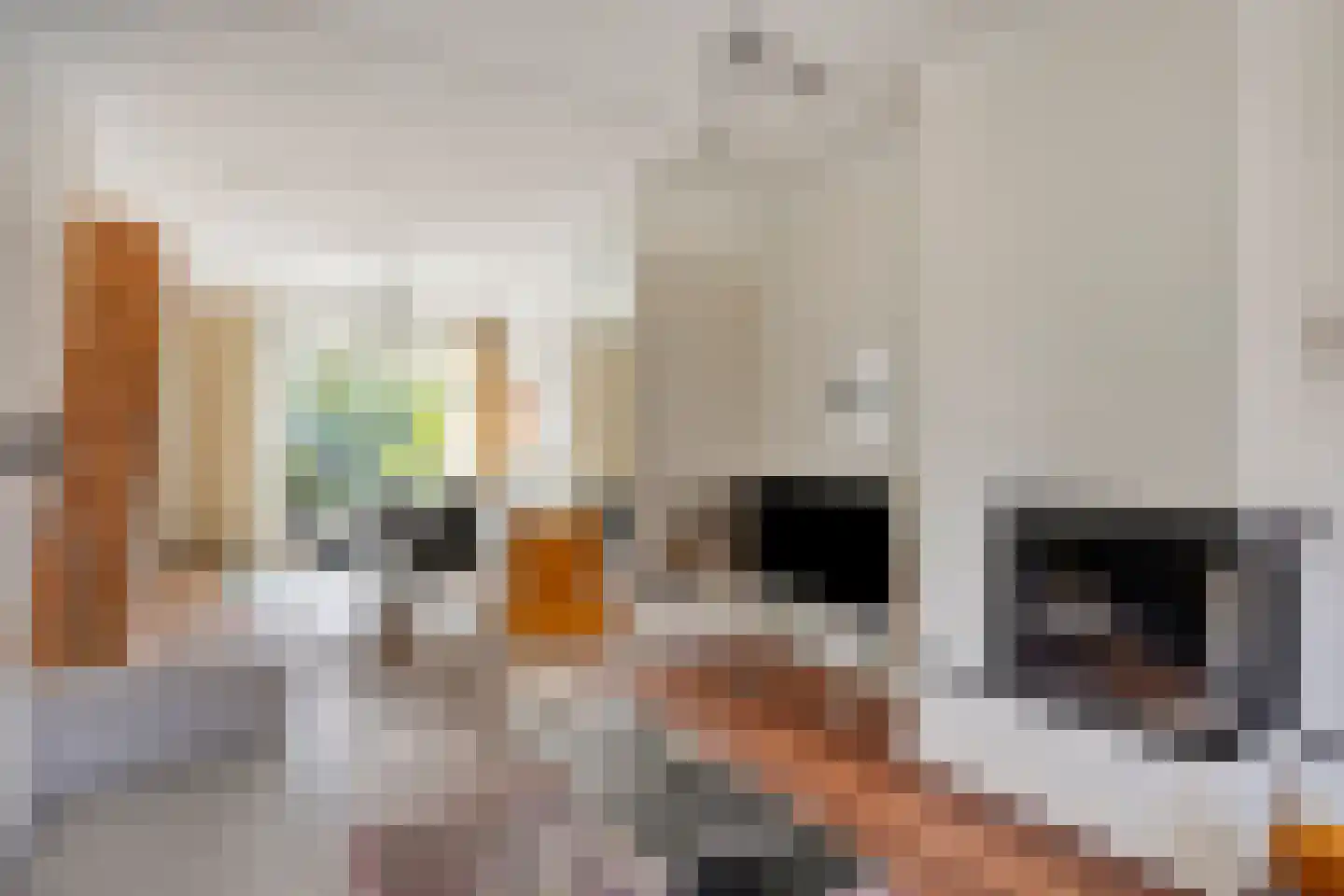 Archipelstraat 15 Nijmegen thumbnail 14