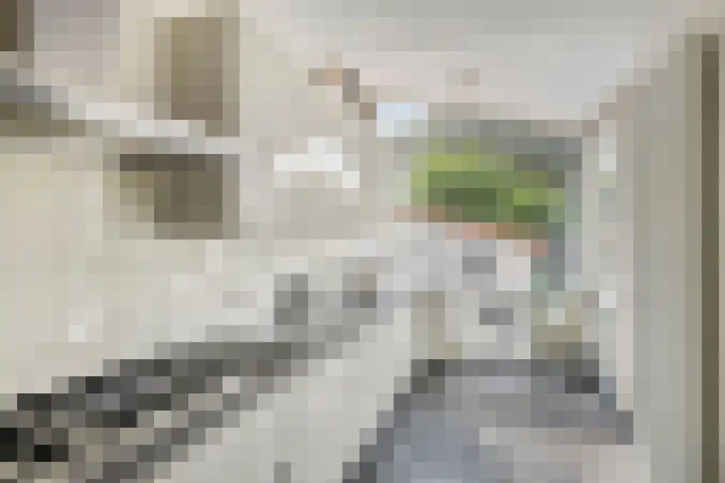 Archipelstraat 15 Nijmegen thumbnail 20