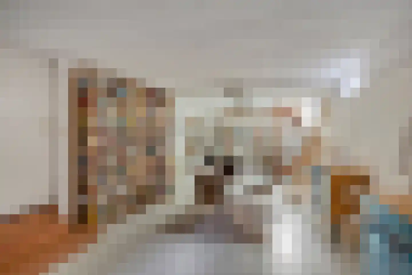 Archipelstraat 15 Nijmegen thumbnail 25