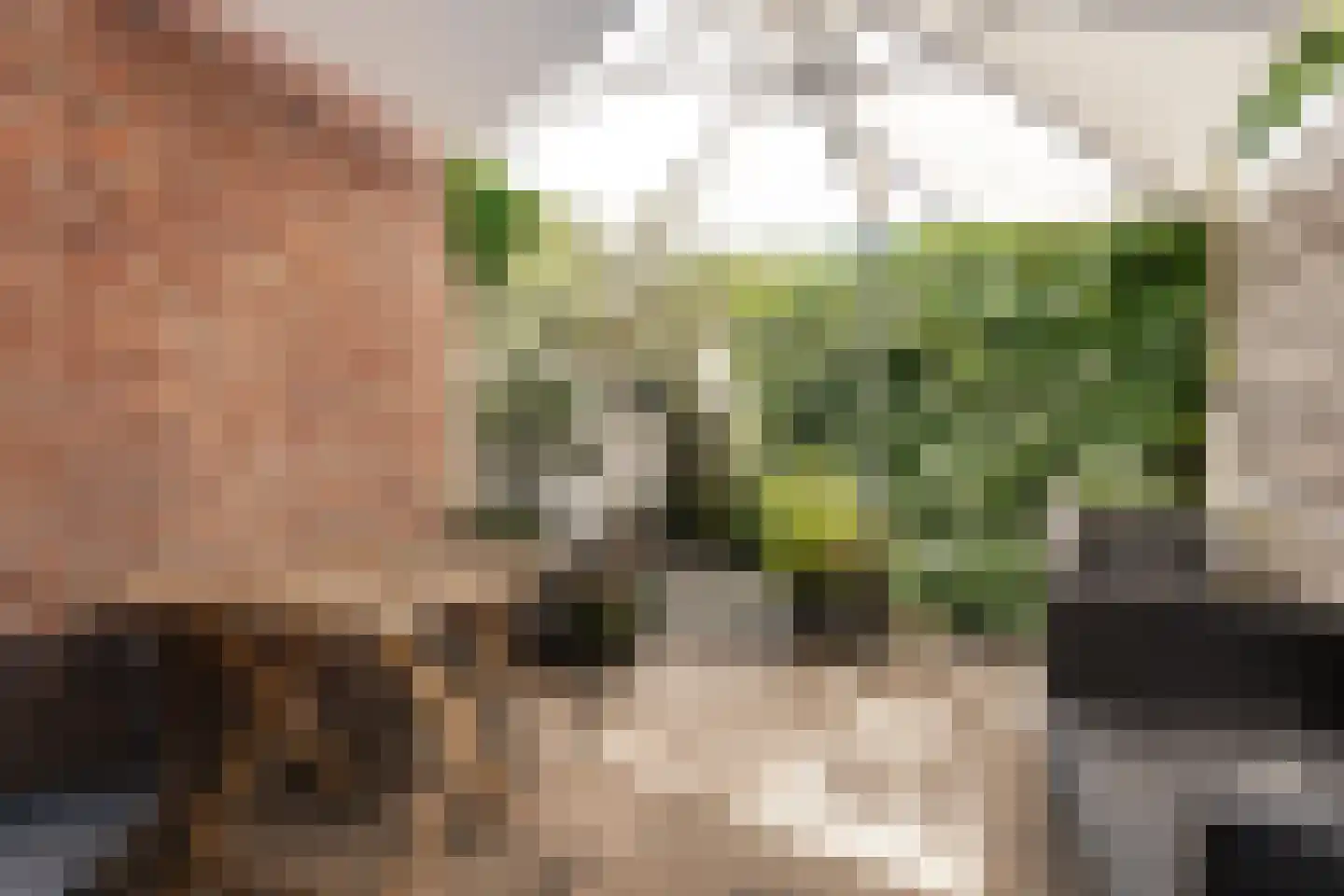 Archipelstraat 16 Haarlem thumbnail 15