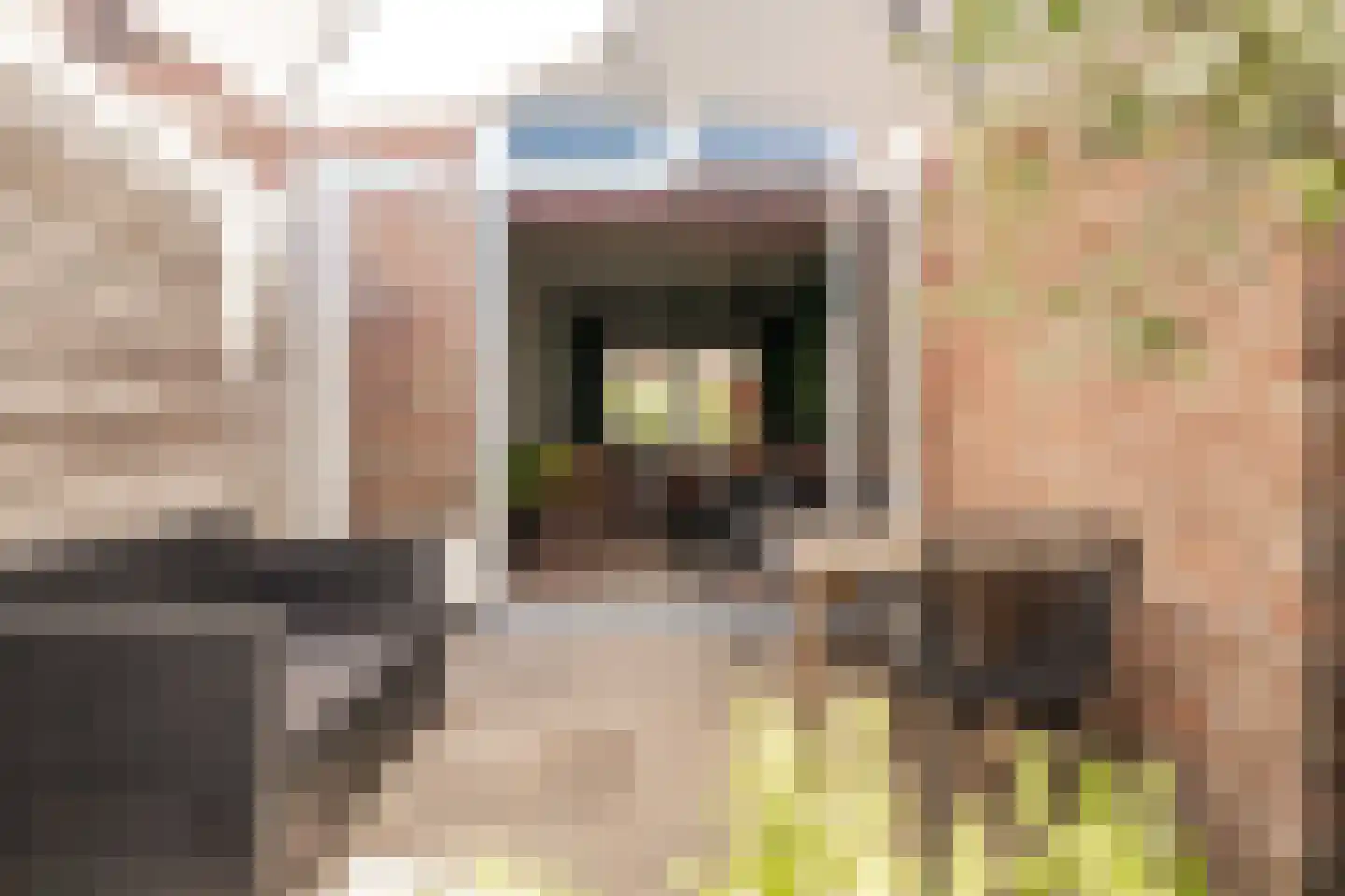 Archipelstraat 16 Haarlem thumbnail 16