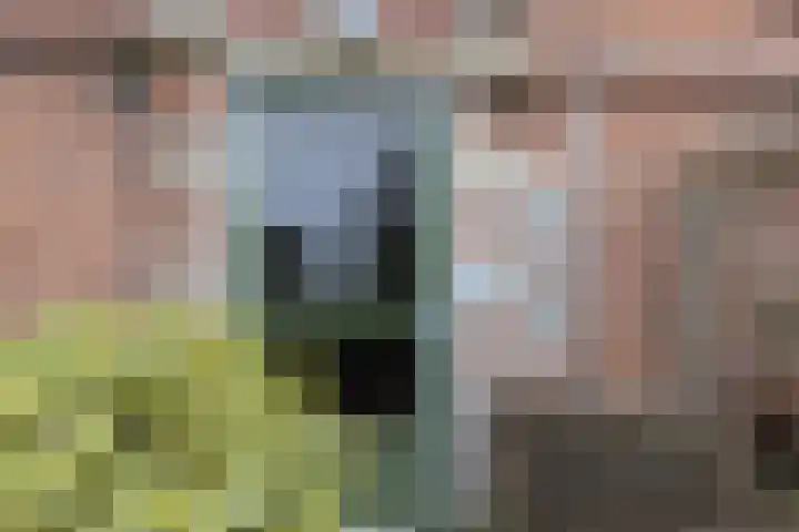 Archipelstraat 270 Nijmegen thumbnail 48