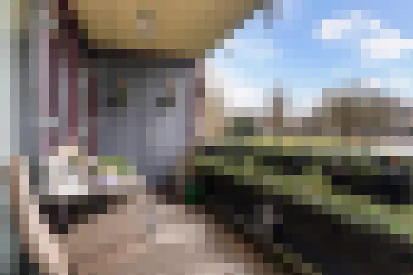 Archipelweg 123 b Leeuwarden thumbnail 5