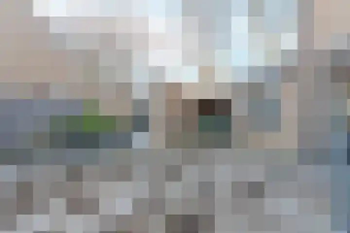 Architect Margadanterf 8 Den Haag thumbnail 15