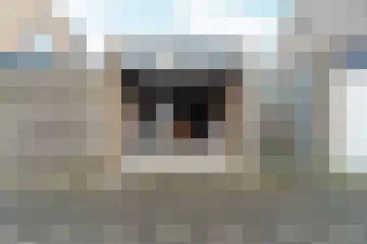 Architect Margadanterf 8 Den Haag thumbnail 55