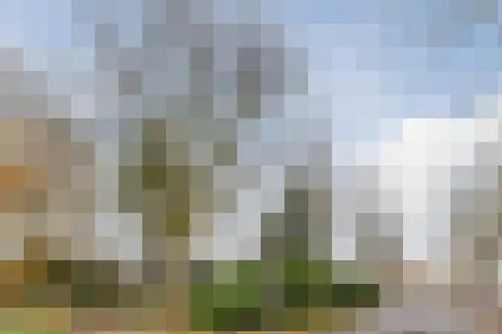 Architect van Beijsterveldthof 7 Gilze thumbnail 28