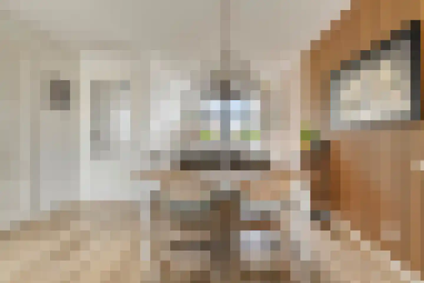 Architectenlaan 100 Bergschenhoek thumbnail 21