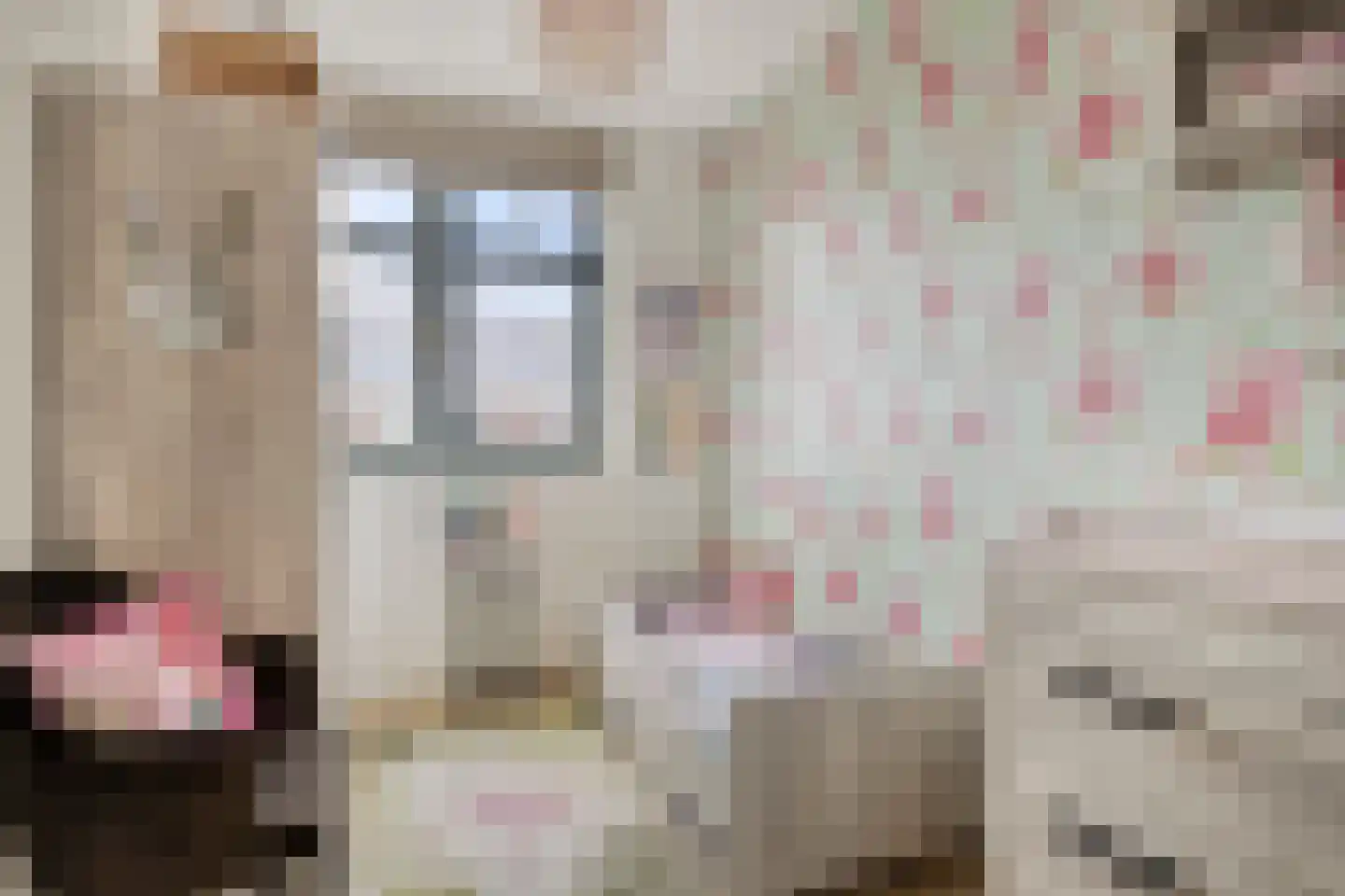 Architectenlaan 100 Bergschenhoek thumbnail 29