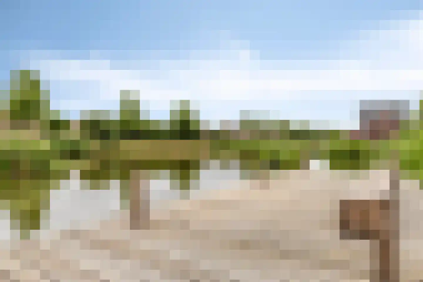 Architectenlaan 100 Bergschenhoek thumbnail 35