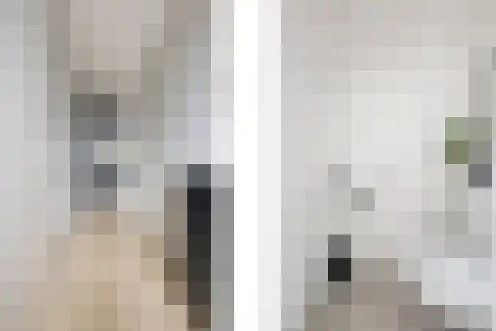 Architectenlaan 62 Bergschenhoek thumbnail 18