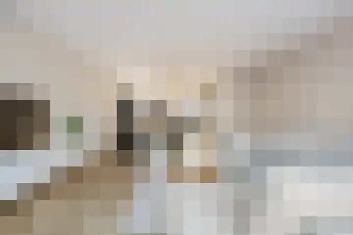 Architectenlaan 62 Bergschenhoek thumbnail 9