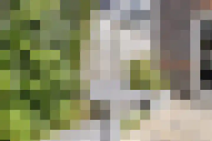 Architectenlaan 74 Bergschenhoek thumbnail 12