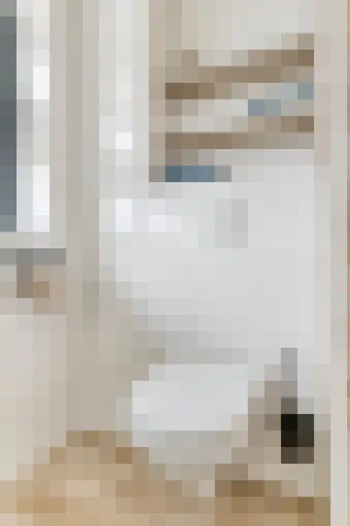 Architectenlaan 74 Bergschenhoek thumbnail 23