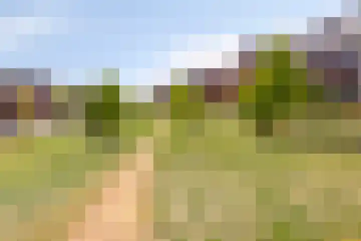 Architectenlaan 74 Bergschenhoek thumbnail 31