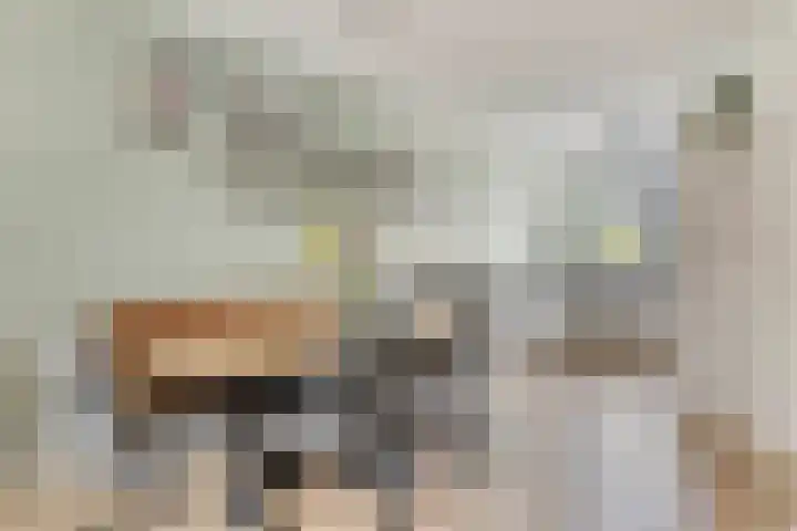 Architectenlaan 74 Bergschenhoek thumbnail 7