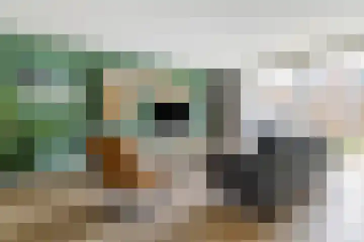 Architectenlaan 74 Bergschenhoek thumbnail 9