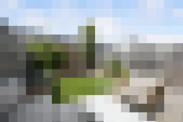 Architectenlaan 94 Bergschenhoek thumbnail 22