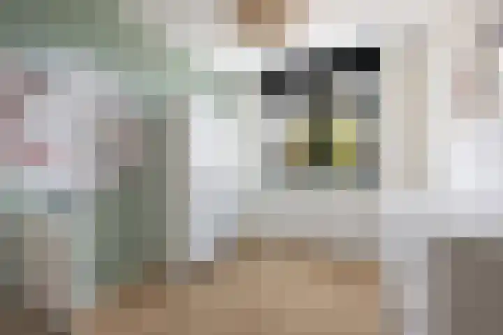 Architectenlaan 94 Bergschenhoek thumbnail 28