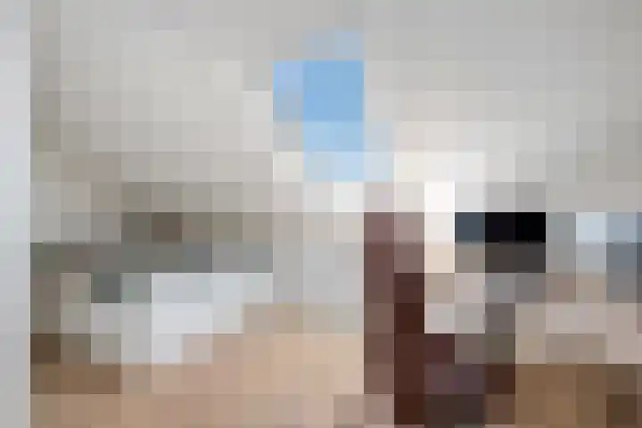 Architectenlaan 94 Bergschenhoek thumbnail 41