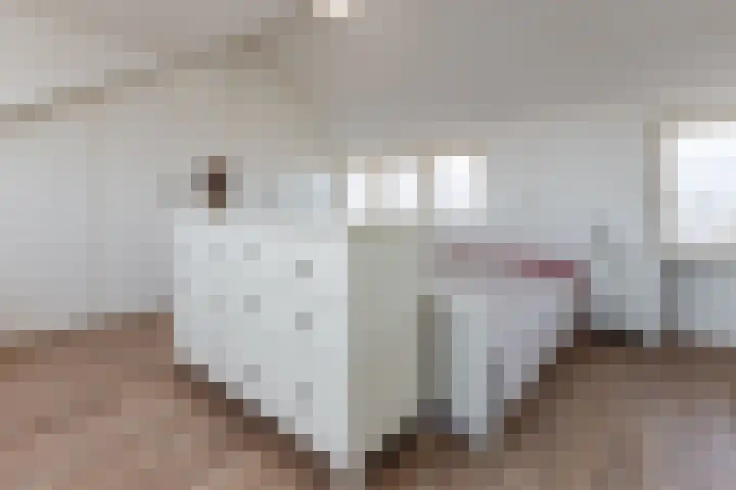 Ardealaan 16 Hillegom thumbnail 29