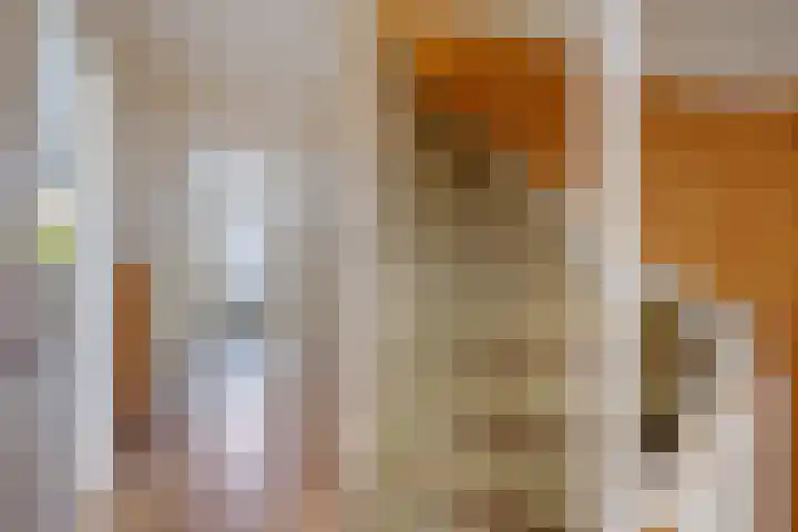 Ardealaan 4 Hillegom thumbnail 11