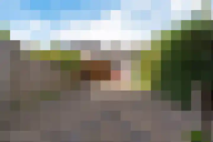Ardealaan 4 Hillegom thumbnail 13