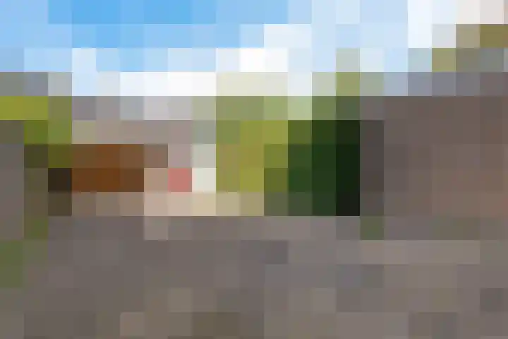 Ardealaan 4 Hillegom thumbnail 14