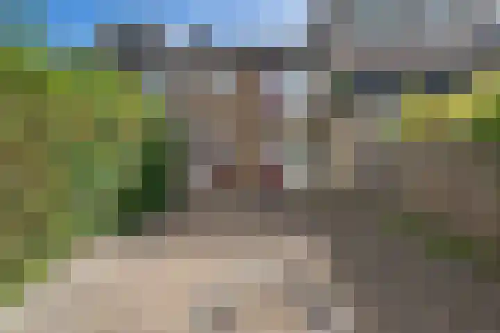Ardealaan 4 Hillegom thumbnail 15