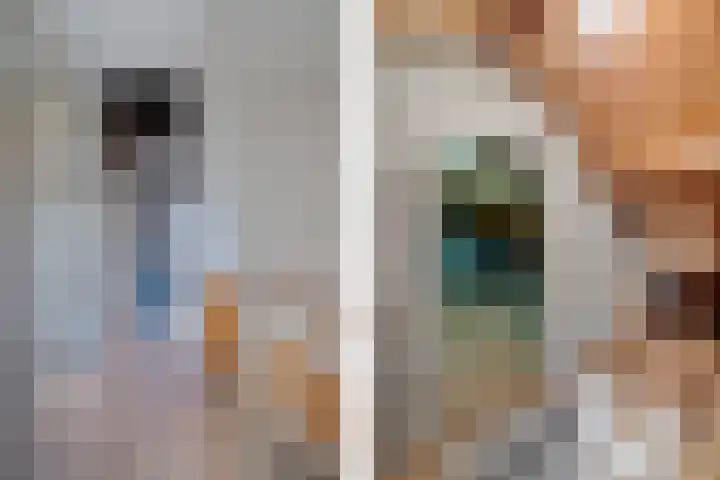 Ardealaan 4 Hillegom thumbnail 26