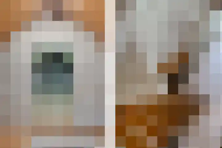 Ardealaan 4 Hillegom thumbnail 29