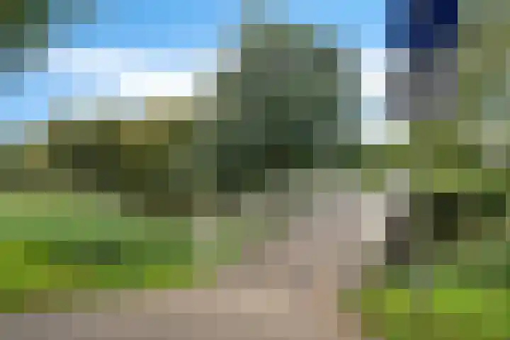 Ardealaan 4 Hillegom foto 3