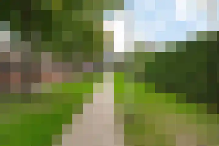 Ardealaan 4 Hillegom thumbnail 30