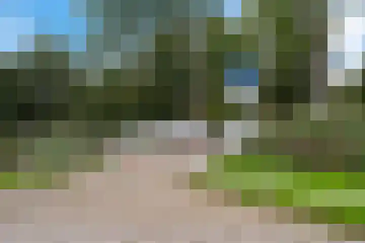 Ardealaan 4 Hillegom thumbnail 32